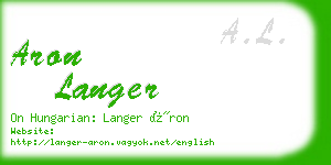 aron langer business card